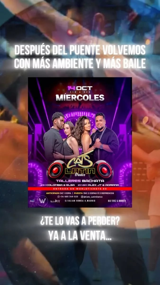 Cats Bachata