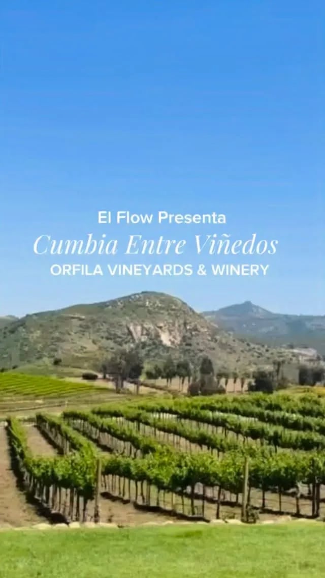 Cumbia Entre Viñedos