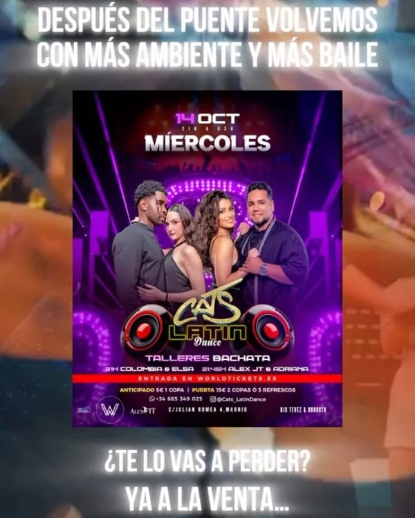 Cats Bachata - Poster del evento