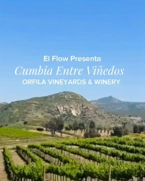 Cumbia Entre Viñedos